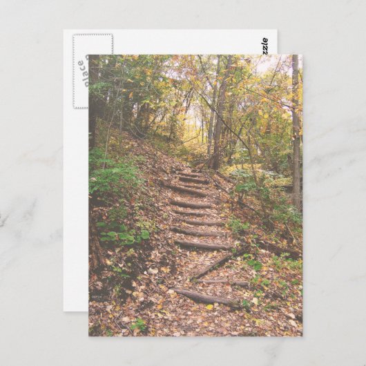 Staven in het bos briefkaart (Voorkant / Achterkant)