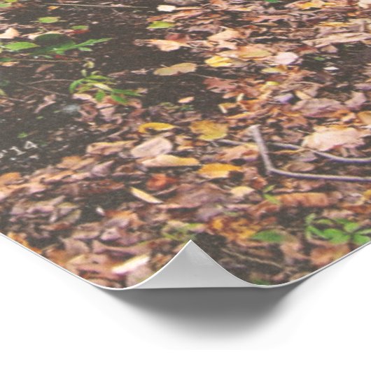 Staven in het bos poster (Hoek)