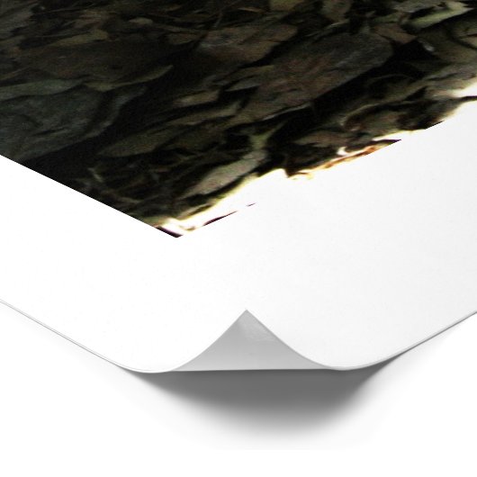 Staven Poster (Hoek)