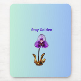 Stay Golden Orchid Muismat