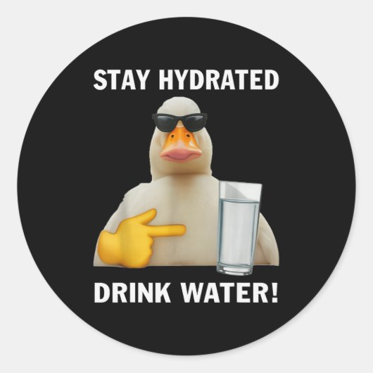 Stay Hydrated Drink Water Funny Meme Duck Ronde Sticker (Voorkant)