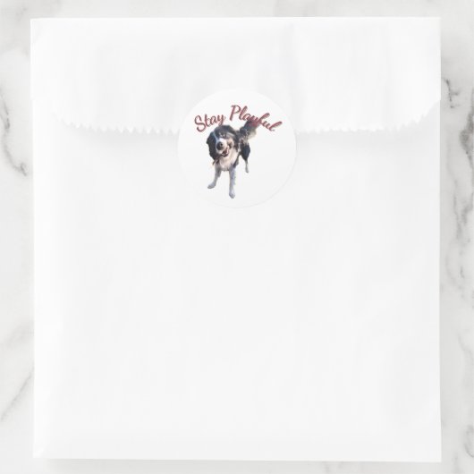 Stay Playful Dog Sticker (Tas)