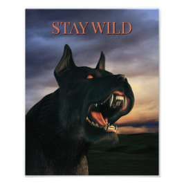 Stay Wild. Big, black dog Foto Afdruk