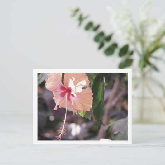 STC_0027 BRIEFKAART (Staand voorkant)