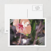 STC_0027 BRIEFKAART (Voorkant / Achterkant)