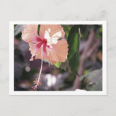 STC_0027 BRIEFKAART (Voorkant)