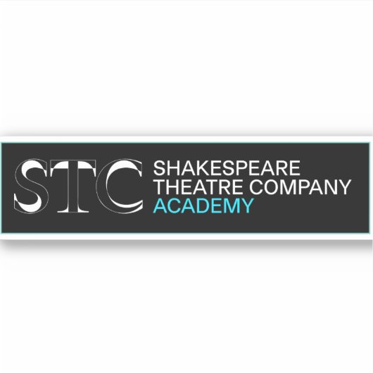 STC Academy Logo Sticker (Voorkant)