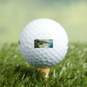 STE86 Ziekenbedekking.tif Golfballen (Insitu Shirt)