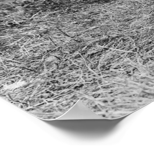 Steady Hand: 1908 Poster (Hoek)