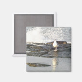 Steady-standmagneet Magneet (Voorkant / Achterkant)
