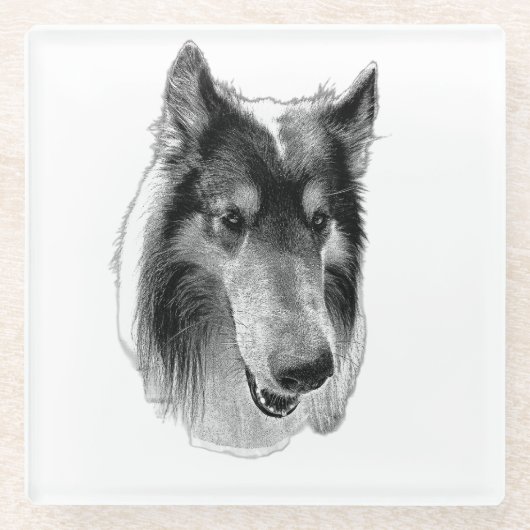 Steady Surface – Collie Glazen Onderzetter (Voorkant)