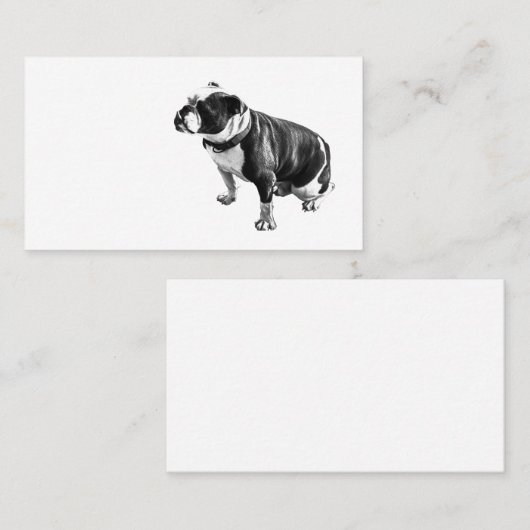 Steady Without Hurry Visitekaartje (Voorkant / Achterkant)