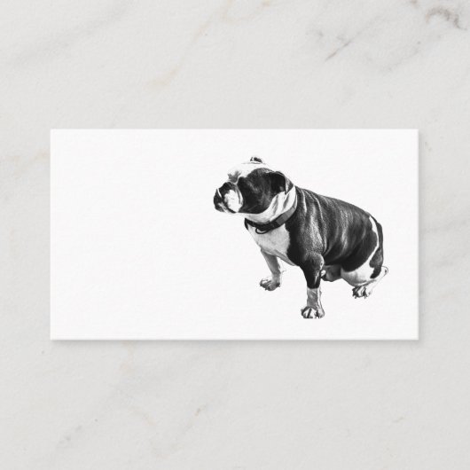 Steady Without Hurry Visitekaartje (Voorkant)