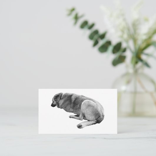 Steady Without Noise Visitekaartje (Staand voorkant)