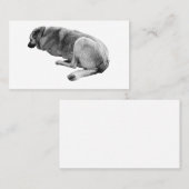 Steady Without Noise Visitekaartje (Voorkant / Achterkant)