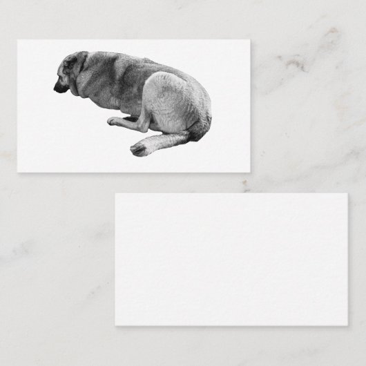 Steady Without Noise Visitekaartje (Voorkant / Achterkant)