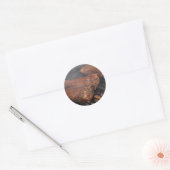 Steaks Grilling Barbecue Grills Meat Ronde Sticker (Envelop)