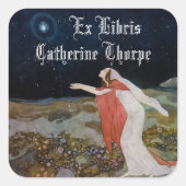 Stealers van Lichte Boekplaat Sticker (Voorkant)