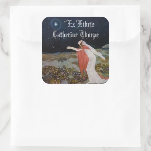 Stealers van Lichte Boekplaat Sticker (Tas)