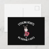 Stealing Hearts blaast naar Boston Terrier Briefkaart (Voorkant / Achterkant)