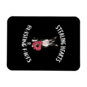 Stealing Hearts blaast naar Boston Terrier Magneet (Horizontaal)