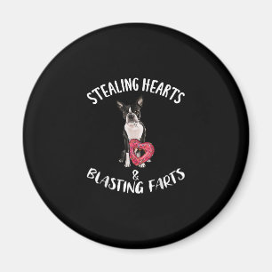 Stealing Hearts blaast naar Boston Terrier Magneet