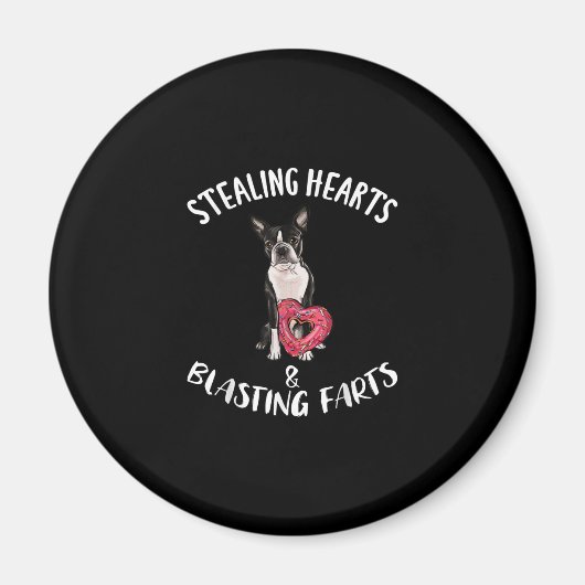 Stealing Hearts blaast naar Boston Terrier Magneet (Voorkant)