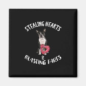 Stealing Hearts blaast naar Boston Terrier Magneet (Voorkant)