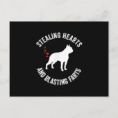 Stealing Hearts en blaast Boston Terrier Aankondigingskaart (Voorkant)