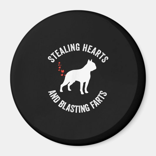 Stealing Hearts en blaast Boston Terrier Magneet (Voorkant)