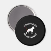 Stealing Hearts en blaast Boston Terrier Magneet (Voorkant / Achterkant)
