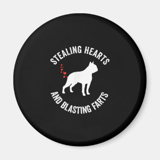 Stealing Hearts en blaast Boston Terrier Magneet