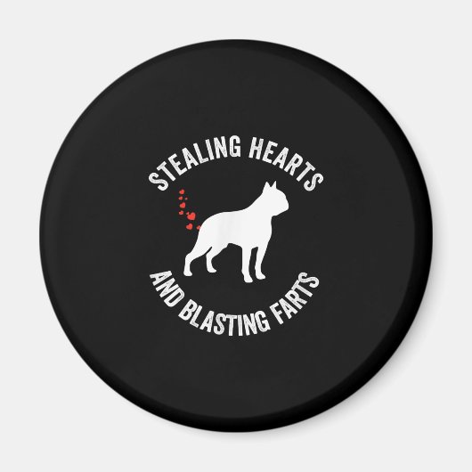 Stealing Hearts en blaast Boston Terrier Magneet (Voorkant)