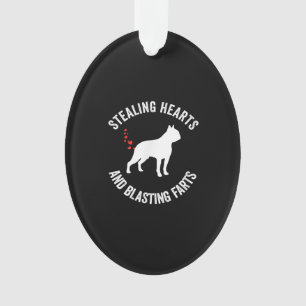 Stealing Hearts en blaast Boston Terrier Ornament