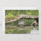 Stealth Alligator Platte Kaart (Voorkant)