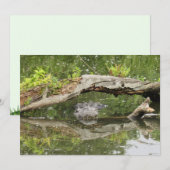 Stealth Alligator Platte Kaart (Voorkant / Achterkant)