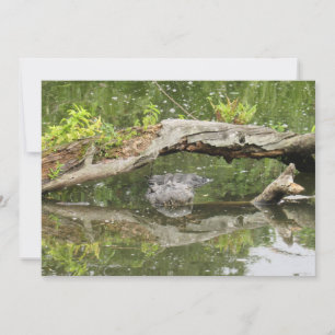 Stealth Alligator Platte Kaart