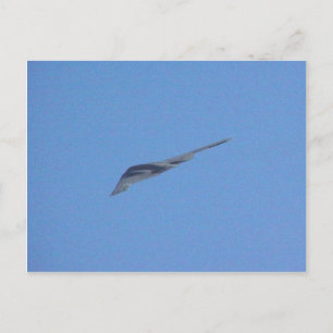 Stealth Bomber Briefkaart