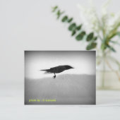 Stealth Crow Briefkaart (Staand voorkant)