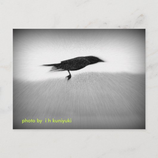 Stealth Crow Briefkaart (Voorkant)