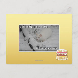 Stealth Kat 1 Briefkaart