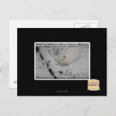 Stealth Kat 1 Briefkaart (Voorkant / Achterkant)