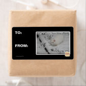 Stealth Kat 1 Etiket (Insitu)