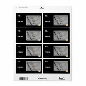 Stealth Kat 1 Etiket (Full Sheet)