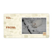 Stealth Kat 1 Etiket (Voorkant)