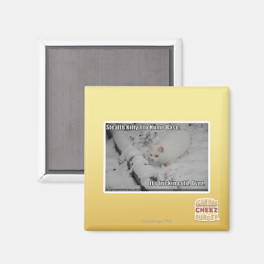 Stealth Kat 1 Magneet (Voorkant / Achterkant)