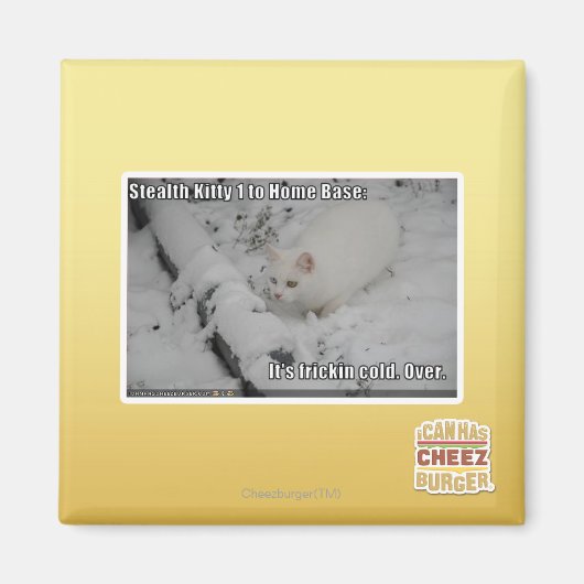 Stealth Kat 1 Magneet (Voorkant)