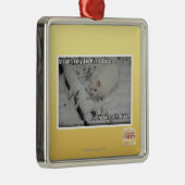 Stealth Kat 1 Metalen Ornament (Rechts)