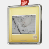 Stealth Kat 1 Metalen Ornament (Links)