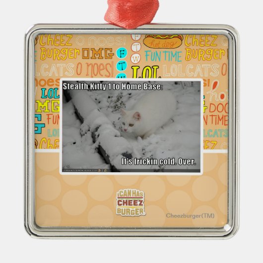 Stealth Kat 1 Metalen Ornament (Voorkant)